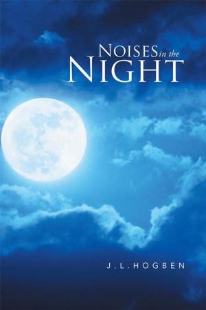 Cover of the book Noises in the Night by Rob Hulbert