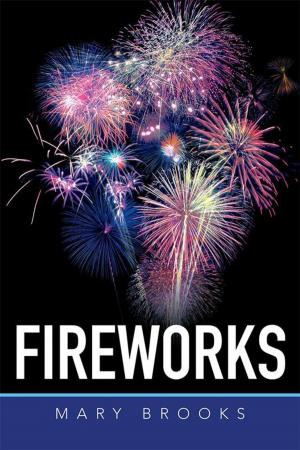 Cover of the book Fireworks by Georgina Zuvela