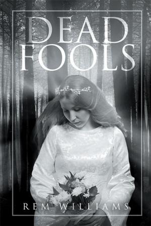 bigCover of the book Dead Fools by 