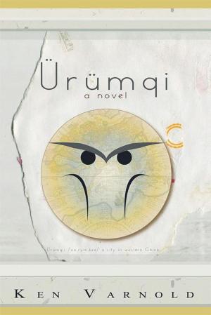 Book cover of Urumqi