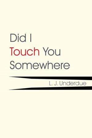 Cover of the book Did I Touch You Somewhere by Raymond N. Kieft