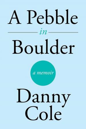 Cover of the book A Pebble in Boulder by Avraham Anouchi