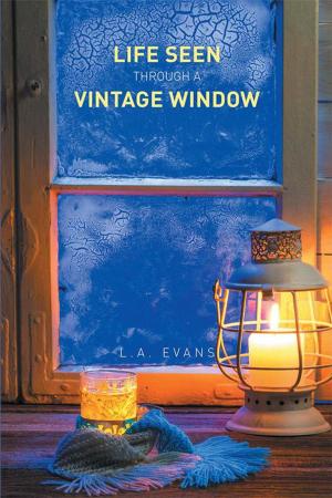 Cover of the book Life Seen Through a Vintage Window by Michael D. Carothers