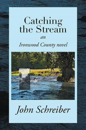 Book cover of Catching the Stream