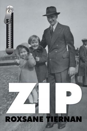 Cover of the book Zip by Arthur E B Waddle