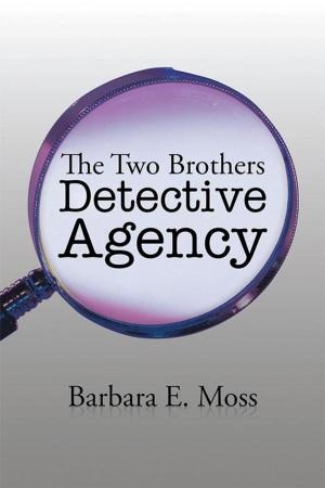 Book cover of The Two Brothers Detective Agency