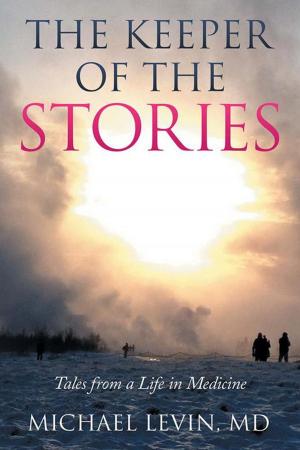 Cover of the book The Keeper of the Stories by Andrew Dequasie
