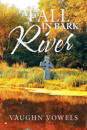 bigCover of the book A Fall in Bark River by 