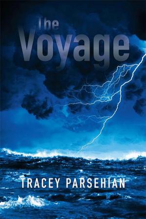 Cover of the book The Voyage by Emerson Patricio