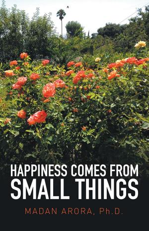 Cover of the book Happiness Comes from Small Things by Yolanda Burroughs