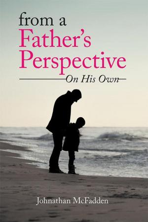 Cover of the book From a Father's Perspective by Debora Dockett