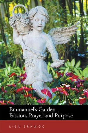 Cover of the book Emmanuel's Garden Passion, Prayer and Purpose by Jim Anaple