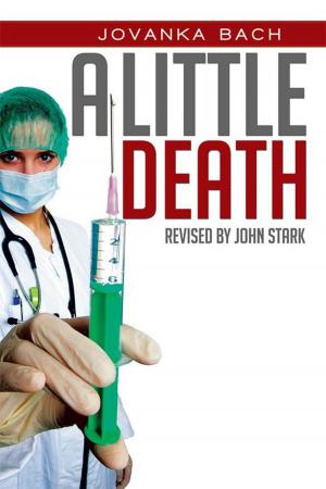 Cover of the book A Little Death by Raff Rafferty