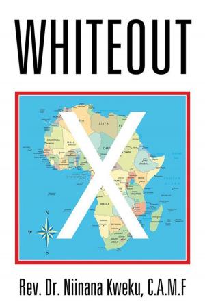 Cover of the book Whiteout by Nancy P. Greenleaf