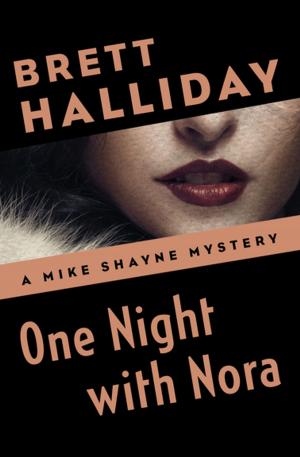 Cover of the book One Night with Nora by Robert Rand