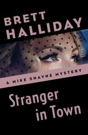 bigCover of the book Stranger in Town by 