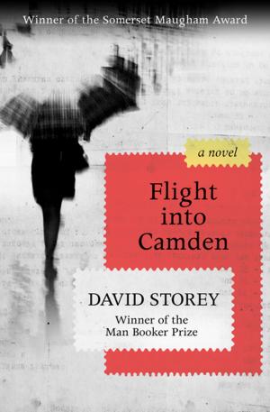 Cover of the book Flight into Camden by Jane Yolen