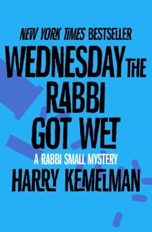 Cover of the book Wednesday the Rabbi Got Wet by Michael Cadnum