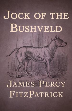 Book cover of Jock of the Bushveld