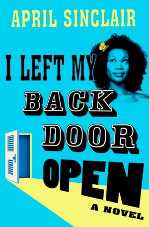 Cover of the book I Left My Back Door Open by Dorothy Salisbury Davis
