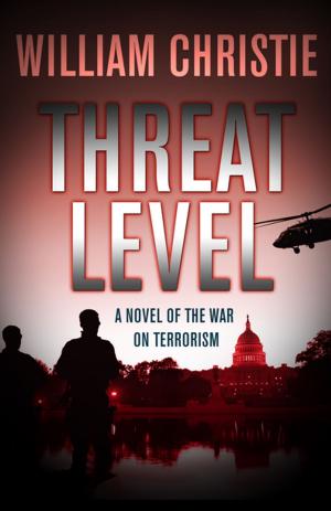 Cover of the book Threat Level by Daniel Paisner