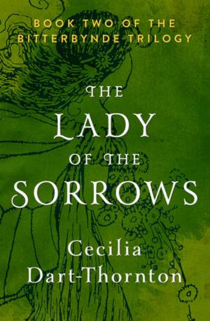 Cover of the book The Lady of the Sorrows by Burke Davis