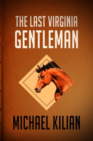 Cover of the book The Last Virginia Gentleman by Terence Charles