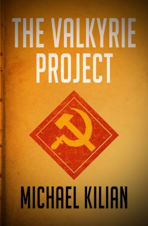 Cover of the book The Valkyrie Project by E.B. Akintunde