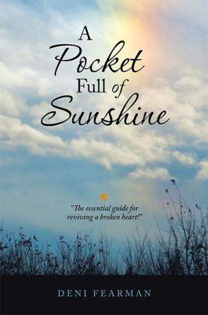 Cover of the book A Pocket Full of Sunshine by John M. Schreiner