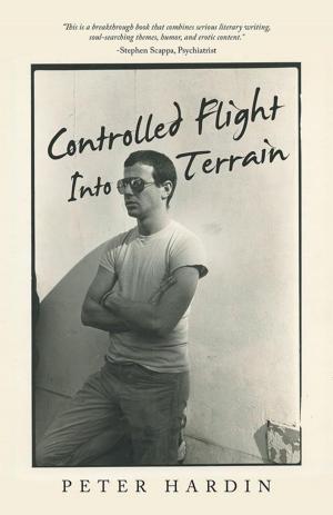 Cover of the book Controlled Flight into Terrain by Ernie Meade