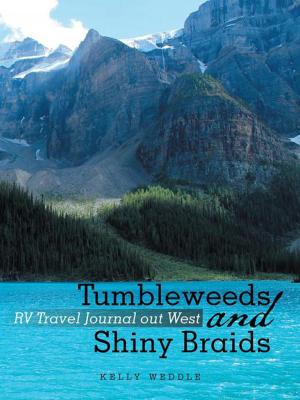 Cover of the book Tumbleweeds and Shiny Braids by Vicky-Lyn Ashby