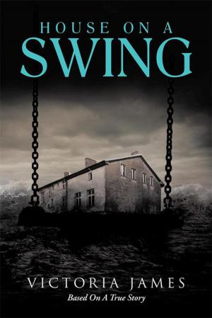 Cover of the book House on a Swing by Calvin Vraa