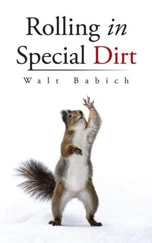 Cover of the book Rolling in Special Dirt by Ashley Rose