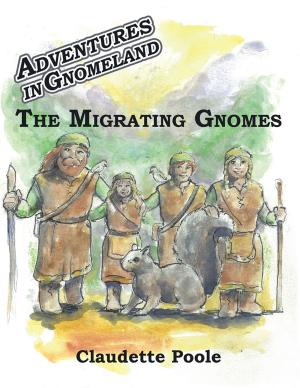 Cover of the book Adventures in Gnomeland by O.C. Isom II