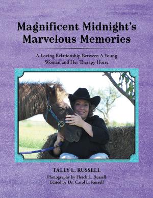 Cover of the book Magnificent Midnight’S Marvelous Memories by Mason Hart