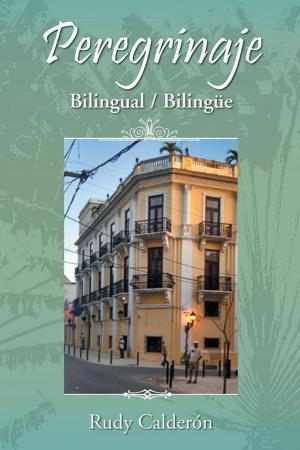 Cover of the book Peregrinaje by Allan Winneker