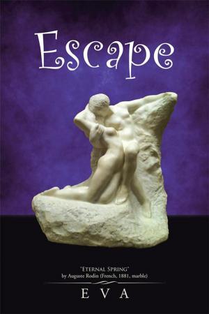 Cover of the book Escape by Matthew Cook