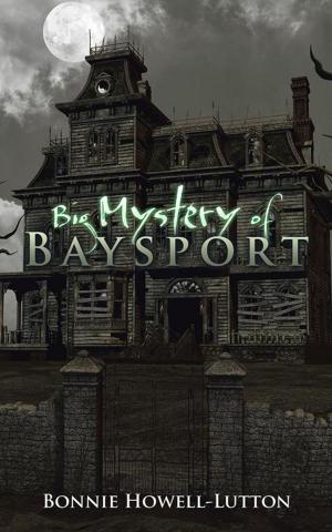 Cover of the book Big Mystery of Baysport by John R. Kilsheimer