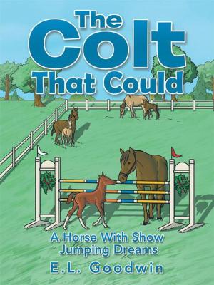 Book cover of The Colt That Could