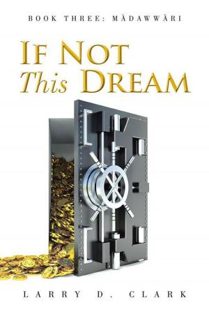 Cover of the book If Not This Dream by Minister Barbara Bullard