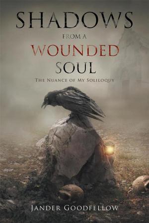 Cover of the book Shadows from a Wounded Soul by Kay Hoflander