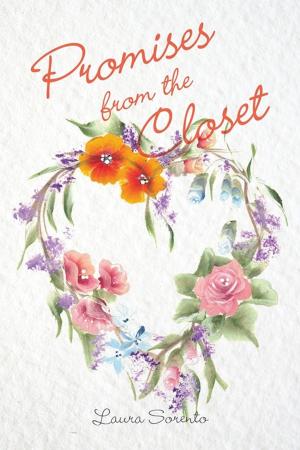 Cover of the book Promises from the Closet by Scott Young, Louie Keen