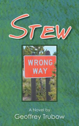 Cover of the book Stew by Ivy Pochoda