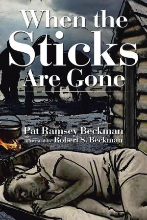 Cover of the book When the Sticks Are Gone by Robert Davis
