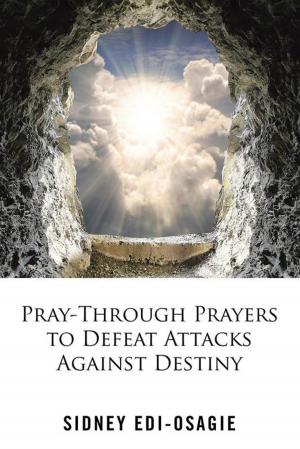 Cover of the book Pray-Through Prayers to Defeat Attacks Against Destiny by Elaine Mellon
