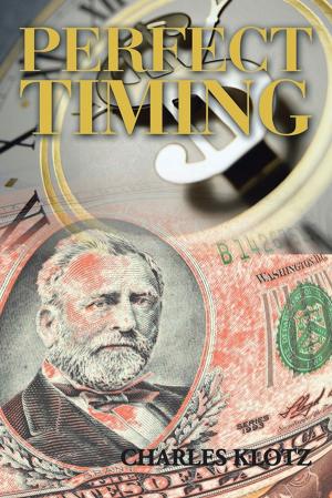Cover of the book Perfect Timing by Hamza Simrick