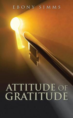 Cover of the book Attitude of Gratitude by M. Marva Allison