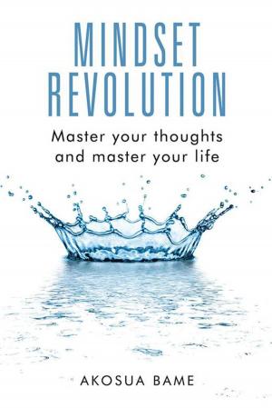 Cover of the book Mindset Revolution by Reg Green