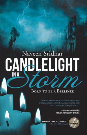 Cover of Candlelight in a Storm