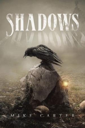 Cover of the book Shadows by Nina Abdul Razzak